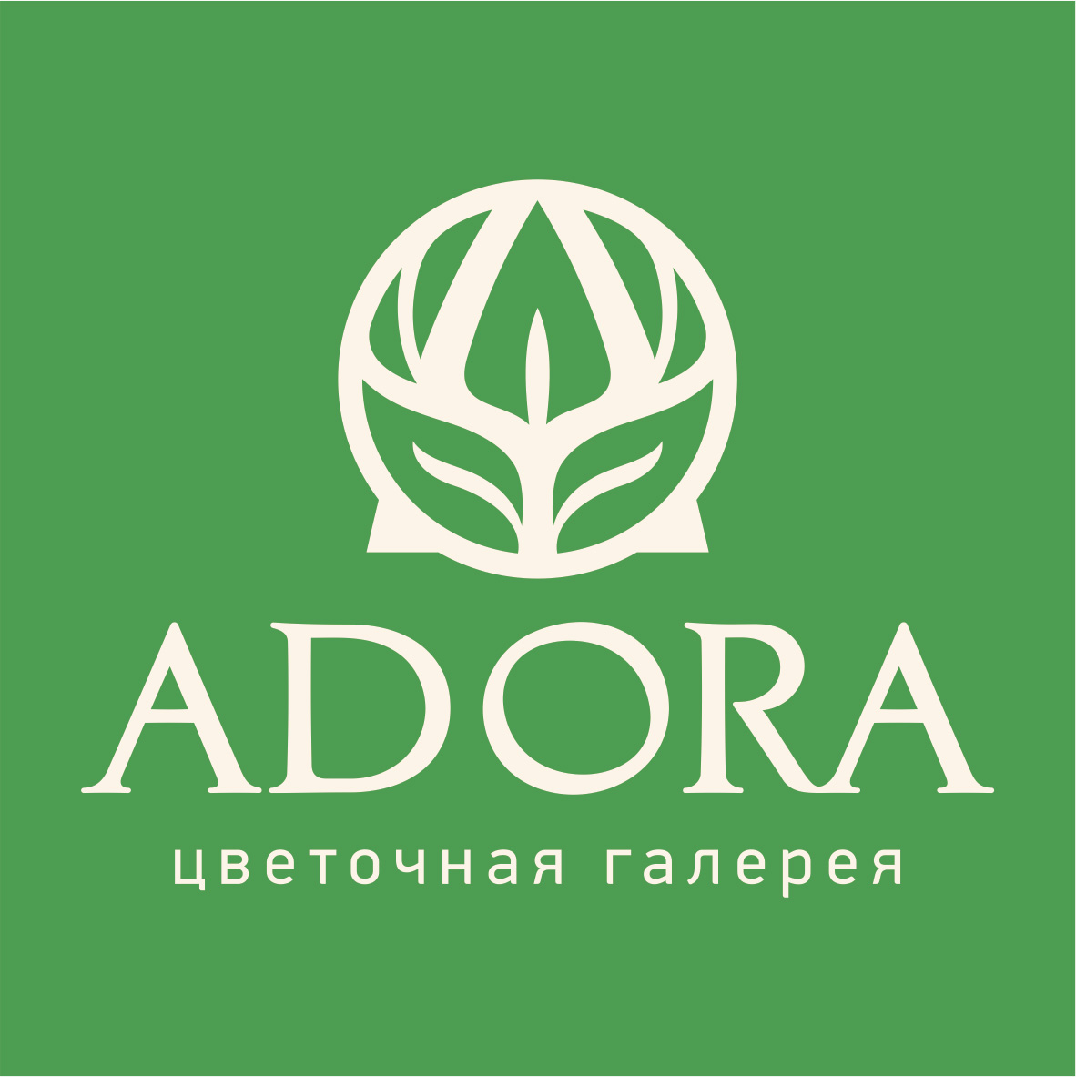 Логотип компании ADORA